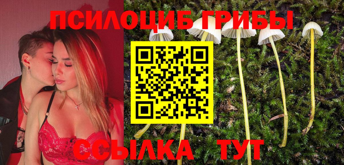 Псилоцибиновые грибы Psilocybine cubensis  Вход с VPN  Новосибирск  Псилоцибиновые грибы Psilocybine cubensis 