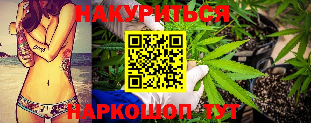 Марихуана тримм  Каннабис OG Kush  Вход с VPN  Бошки марихуана семена  Новосибирск 